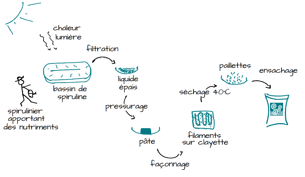 notre spiruline